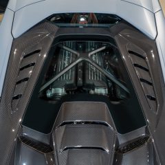 41