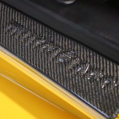 IMG_8266