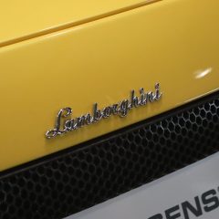 IMG_8269