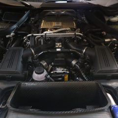 41